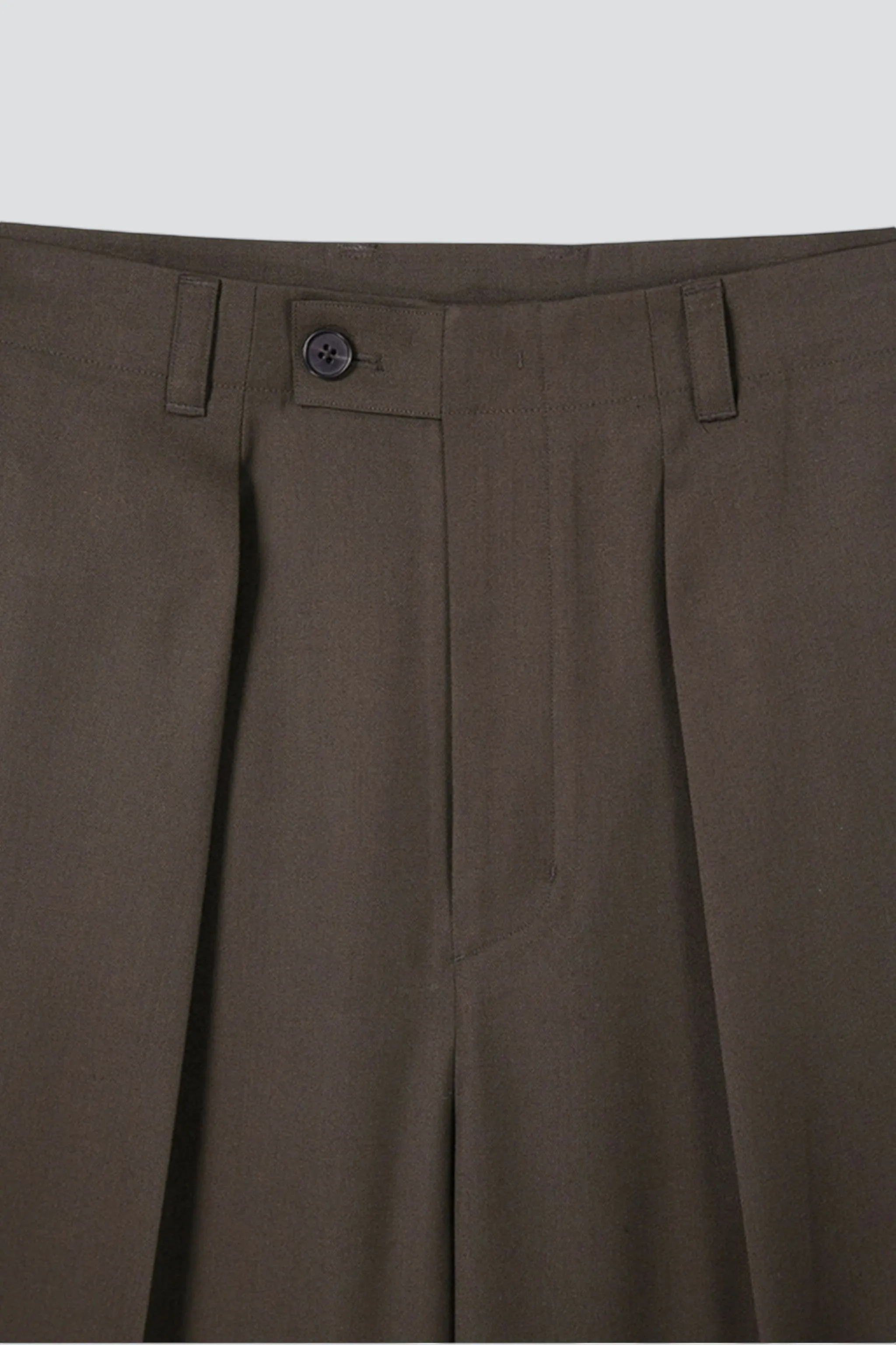 Brown Wool Twill Pleated Wide Trousers