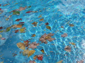 Swimming Pool Closings