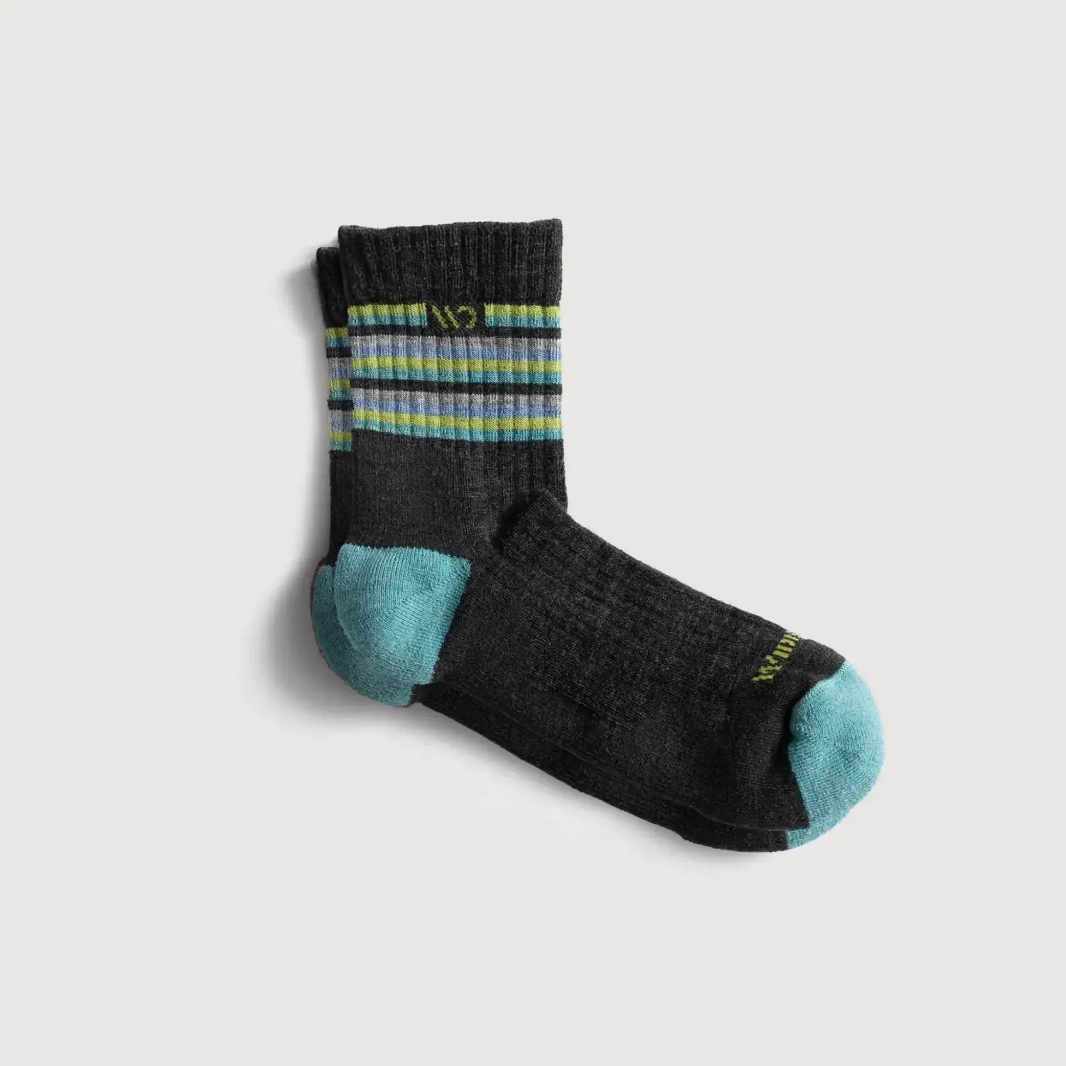 W’s Multi Stripe Cushioned Micro Crew Socks